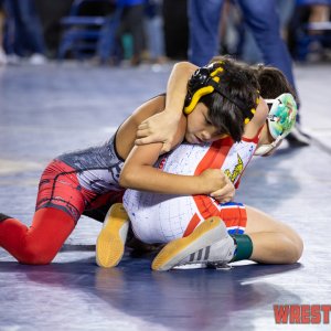 WrestlingWin-2025.jpg