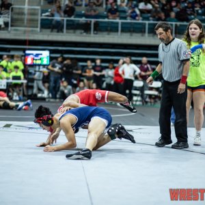 3-6a-wrestling-regionals-11794.jpg