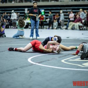 3-6a-wrestling-regionals-11772.jpg